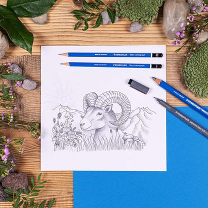 STAEDTLER Mars Lumograph Graphite Artist Pencil Pack, 12 Degrees (8B, 7B, 6B, 5B, 4B, 3B, 2B, B, HB, F, H, 2H), Mars Plastic Eraser, 61 100 P