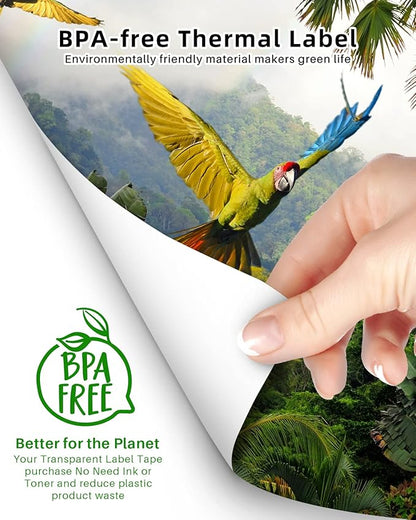 Phomemo Thermal Printer Paper 8.5 x 11 Inch, Advanced Thermal Printing, Thermal Paper Compatible with M08F-Letter, M832, M834, MT800, with Brother Letter Portable Printer, Size 8.5" x 11", 100 Sheets