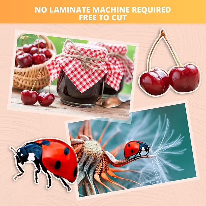 HTVRONT Clear Self-Adhesive Laminating Vinyl Roll-12"x30FT Non Thermal Laminating Film,No Machine Needed Clear Vinyl Laminate for Stickers