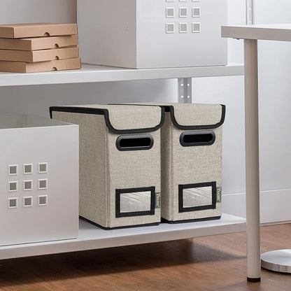 BALEINE File Organizer Box with Lid, Collapsible File Folder Organizer with Plastic Slide, Hanging File Folder Box for Office Document Storage (2 Pack, Beige, S)