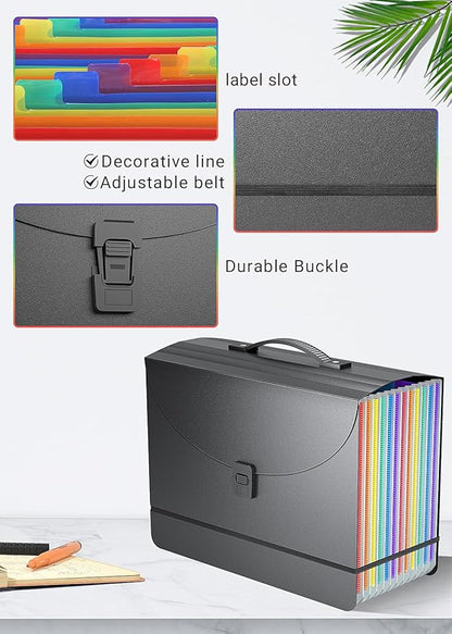 Accordion File Organizer/Expanding File Folder with Handle,13 Pockets Filing Box,Perfect for Desk top Stand/Portabe Document Paper Organizer,A4/Letter Size,Colored Monthly/Blank Tabs,Black Matte