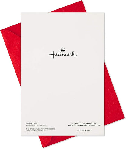 Hallmark Boxed Christmas Cards, Snowy Wreath (40 Cards and Envelopes)