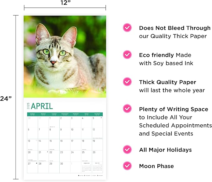 2025 Cats Monthly Wall Calendar by Bright Day, Includes Over 300 Stickers, 12 x 12 Inch