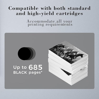 Printer Ink 62 XL 62XL Envy 7645 Black for HP 62 XL Black Ink Cartridge HP Ink 62 62XL HP62 HP62BK Works with HP ENVY 5540 5544 5545 5642 5660 5664 7640 7645, OfficeJet 200 250 258 5740 5745 5746 8040