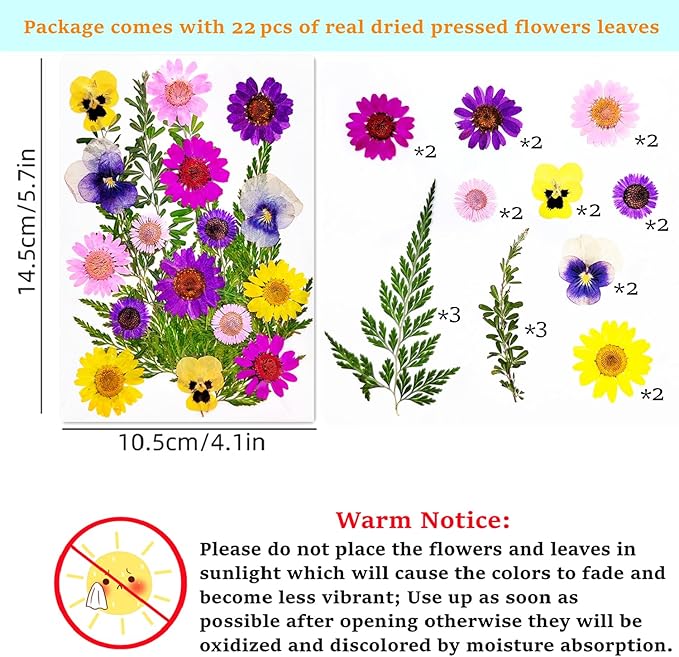 Cardstock Blank Bookmarks Set, 6 Pcs DIY White Craft Bookmarks for Pressed Flowers, Dried Flower Bookmark Making Kit with 22 Pcs Pressed Flowers, 6 Pcs Tassels, DIY Bookmarks for Dried Flowers