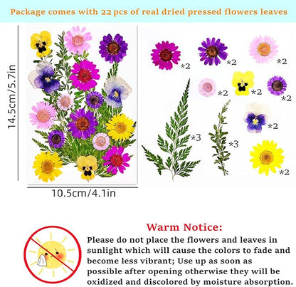 Cardstock Blank Bookmarks Set, 6 Pcs DIY White Craft Bookmarks for Pressed Flowers, Dried Flower Bookmark Making Kit with 22 Pcs Pressed Flowers, 6 Pcs Tassels, DIY Bookmarks for Dried Flowers