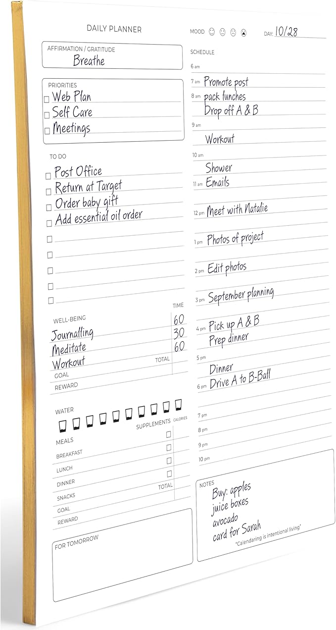 Daily Planner To-Do List Notepad - 50 Page Daily Planner Pad Checklist, To-Do List Notebook, and Work Planner - Daily Schedule Planner - 8.5 x 11 Inch Daily Planner Notepad - Task Planner Blu Monaco