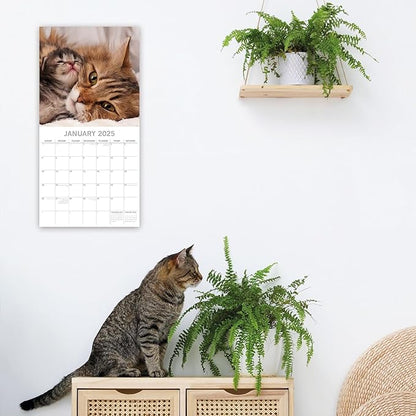 The Gifted Stationary 2025 Square Wall Calendar, Cats & Kittens, 16-Month Animals Theme Hanging Calendar with 180 Reminder Stickers, Month Planner for Home, or Creative Spaces, 12x12 In