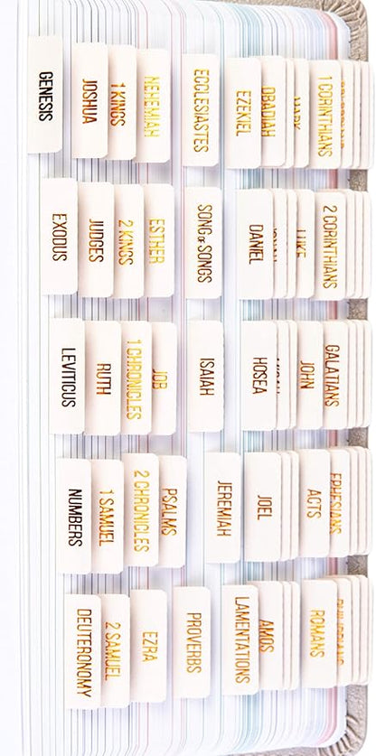 DiverseBee Laminated Bible Tabs (Copper Embossed Lettering), Bible Journaling Supplies, Bible Book Tabs, Christian Gift, 73 Bible Tabs for Women and Men, Includes 4 Blank Tabs (Alabaster)
