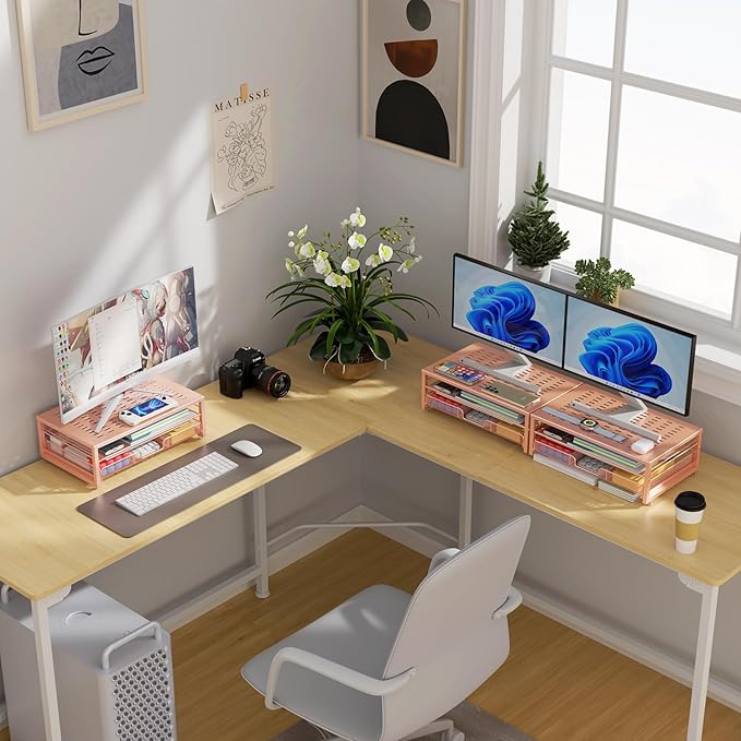 gianotter Computer Monitor Stand Riser, office organizer with Drawer, Office Organizers Storage for Classroom Office Supplies (Rose)