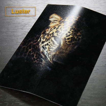 A-SUB Premium Photo Paper Luster 8.5x11 Inch 66lb for Inkjet Printers 50 Sheets, Single Sided