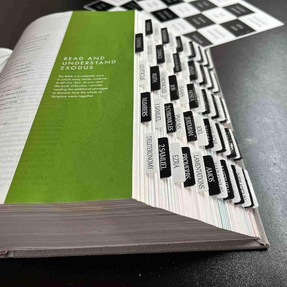 Thinkor Reposition Bible Tabs, Large Print Lanimated Stickers, Easy to Read and Apply Bible Tabs for Women and Man (Checkerboard Style)