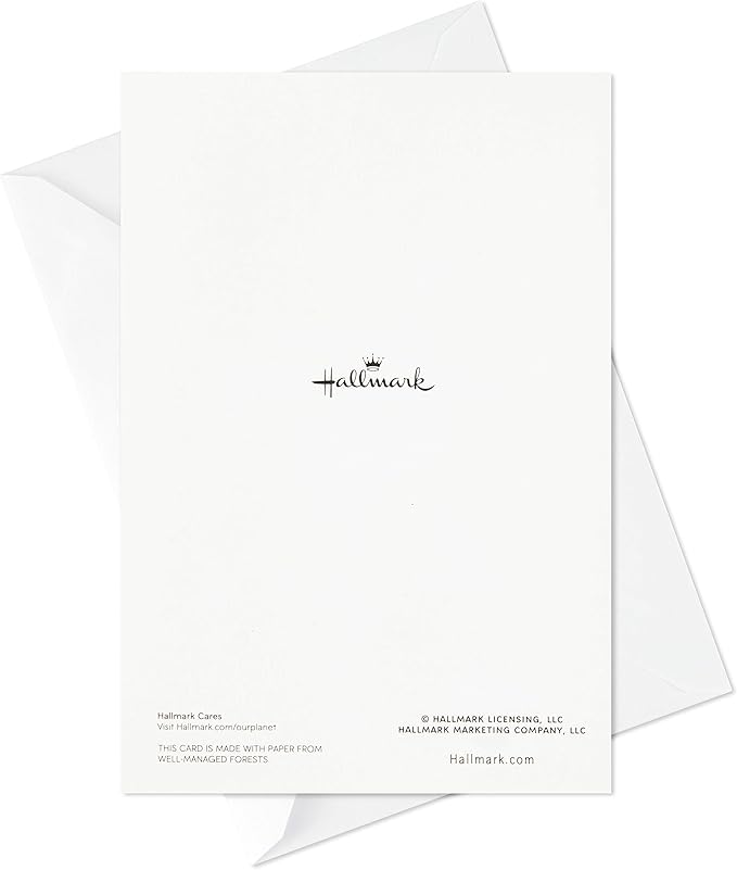 Hallmark Birthday Cards Assortment, 20 Cards with Envelopes (Refill Pack for Hallmark Card Organizer Box)