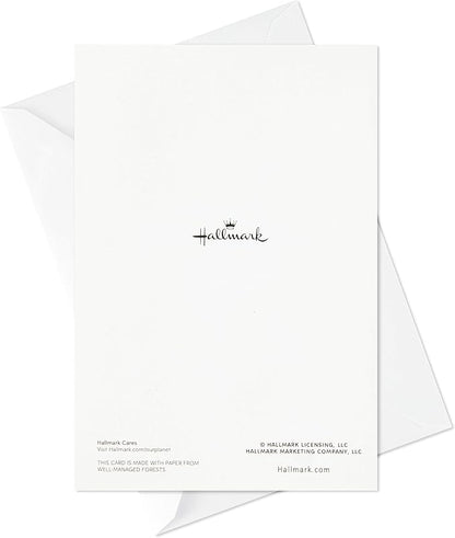 Hallmark Birthday Cards Assortment, 20 Cards with Envelopes (Refill Pack for Hallmark Card Organizer Box)