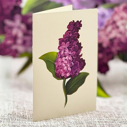 Freshcut Paper Pop Up Cards, Garden Lilacs, 12 Inch Life Sized Forever Flower Bouquet 3D Popup Greeting Card, Birthday Cards, Thank You Card, Blank Notecard & Envelope