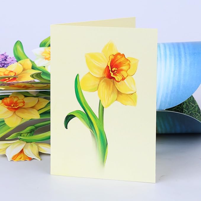 Airpark Pop Up Cards, 12‘’ English Daffodils, Paper Flowers Bouquet 3D Popup Greeting Cards with Blank Note Card and Envelope for Birthday, Get Well Cards Gifts for Women Her