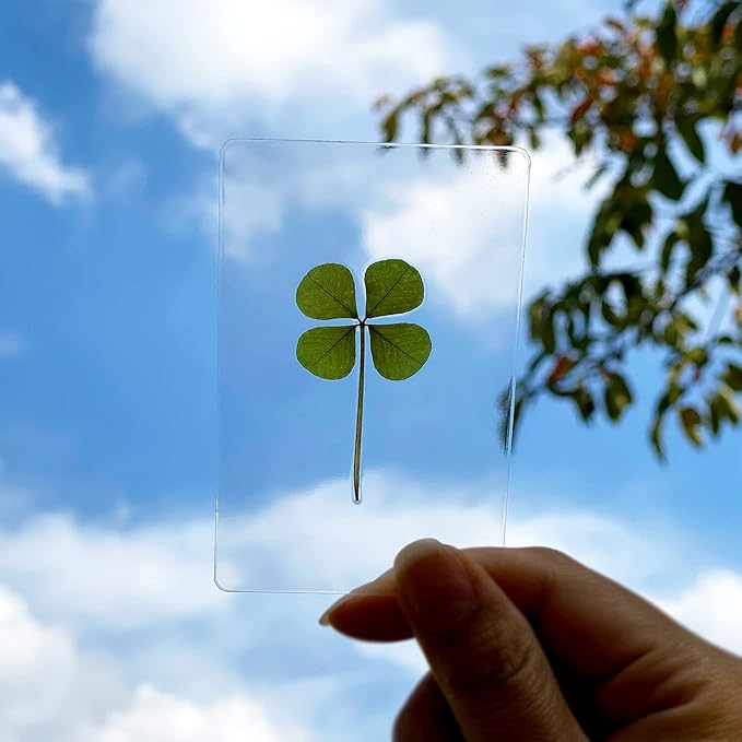 ARTMART Genuine Real Four-Leaf Green Clover St. Saint Patric's Day Bookmarks Irish Shamrock Good Luck Charm for Smartphone Wallet Case Amulet Purse Coating Gift Thanks Card L