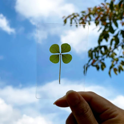 ARTMART Genuine Real Four-Leaf Green Clover St. Saint Patric's Day Bookmarks Irish Shamrock Good Luck Charm for Smartphone Wallet Case Amulet Purse Coating Gift Thanks Card L