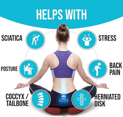 FORTEM Seat Cushion and Lumbar Support for Office Chair, Desk Chair Cushion, Memory Foam Office Chair Cushion, Non Slip Sitting and Back Pillow for Gaming, Car Seat Cushion, Chair Pad