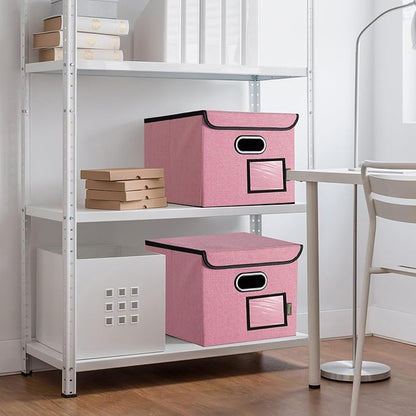 BALEINE File Organizer Box with Lid, Collapsible File Folder Organizer with Plastic Slide, Hanging File Folder Box for Office Document Storage (1 Pack, Pink)