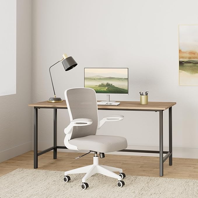 FelixKing Ergonomic Office Chair, Adjustable Height, Breathable Mesh Fabric, Lumbar Support, Gray