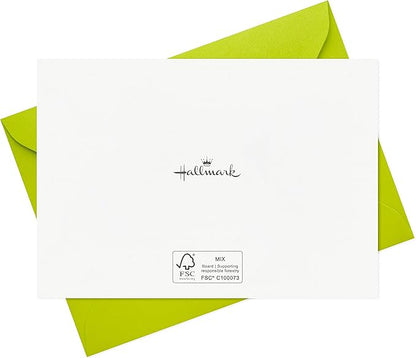 Hallmark Funny Birthday Card Assortment (24 Blank Cards with Envelopes) Food Puns, Dog, Bird, Otters