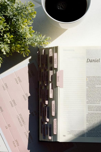 Bible Tabs for Women Study Bible, Gold Embossed Matte Catholic Bible Tabs Pink, Bible Book Index Tab Bible Book Tabs w/Old & New Testament Pink Bible Tabs Perfect Laminated Bible Study Supplies Peony