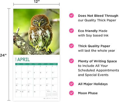 2025 Owls Monthly Wall Calendar by Bright Day, Includes Over 300 Stickers, 12 x 12 Inch