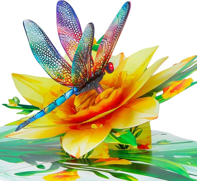 D4DREAM Dragonfly Gifts for Women - Daffodils Flower Dragonfly Pop Up Card 3D Birthday Card for Women Pop Up Mothers Day Cards with Envelope for Her Wife Mom Grandma
