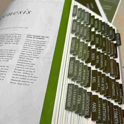 Thinkor Reposition Bible Tabs, Large Print Lanimated Stickers, Easy to Read and Apply Bible Tabs for Women and Man (Four Green)