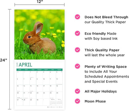 2025 Baby Animals Monthly Wall Calendar by Bright Day, Includes Over 300 Stickers, 12 x 12 Inch