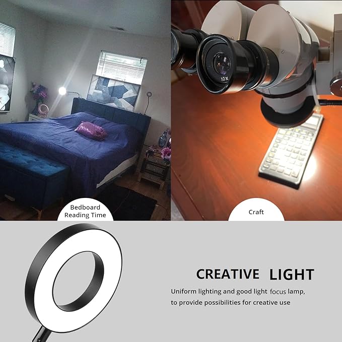 Desk Clip on Lamp for Reading Home Office, with 5V 2A Adapter, 10 Dimmable Brightness 3 Modes, Clamp Reading Light for Bed Headboard, Craft (Black)…