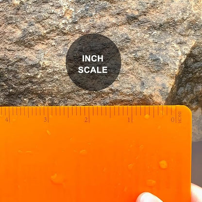 2PCS Field Grid Weatherproof Spiral Notebooks 4.8"x7" with All-Weather Stone Paper and Waterproof PVC Cover, 100 Pages per Pocket Notepad, A6 Medium Memo Steno Pads (Field, Blue)