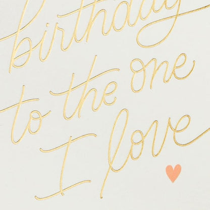 Hallmark Signature Birthday Card for Husband, Wife, Boyfriend, Girlfriend (One I Love)
