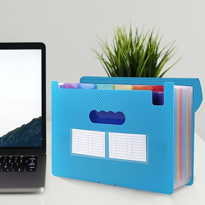 SKYDUE File Organizer, 12 Pockets Accordian File Organizer, Letter Size Expanding File Folder with Colored Tabs and Expandable Cover Portable Bill Receipt Organizer Blue