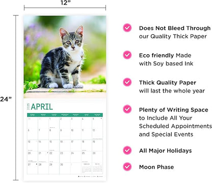 2025 Kittens Monthly Wall Calendar by Bright Day, Includes Over 300 Stickers, 12 x 12 Inch