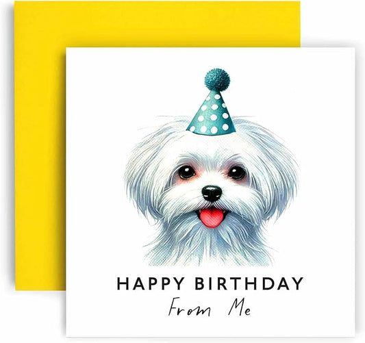 Huxters Birthday Card from the Dog – Maltese - Happy Birthday to Dog Mum and Dog Dad – Birthday Card from the Dog to Friends Family First Birthday (Maltese)