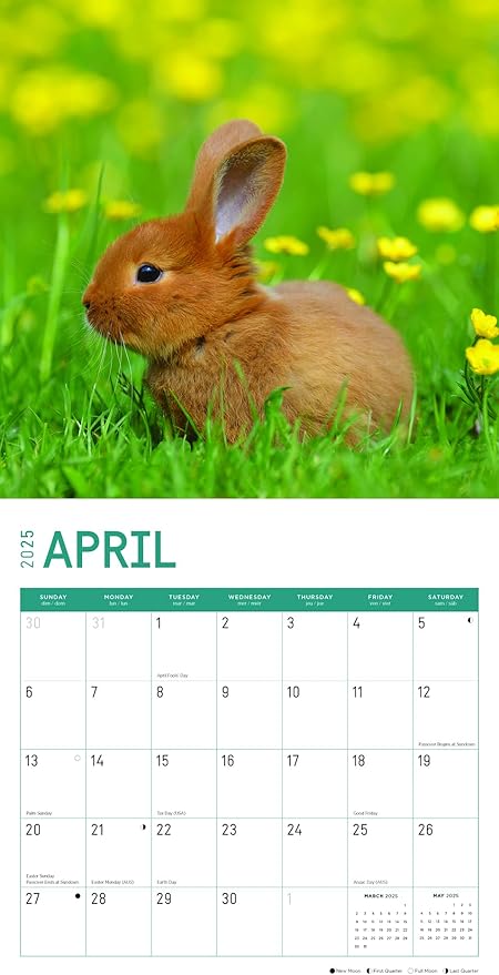 2025 Baby Animals Monthly Wall Calendar by Bright Day, Includes Over 300 Stickers, 12 x 12 Inch