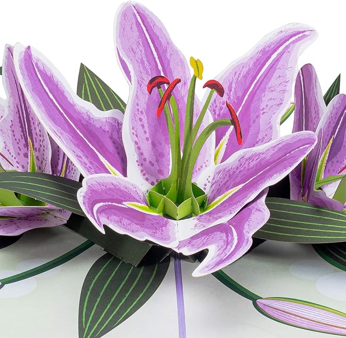 Paper Love 3D Purple Lilies Pop Up Card, Gift for Birthday, Wedding, Anniversary, Mothers Day, Thank You, Get Well, All Occasion or Just Because - 5" x 7" Cover - Includes Envelope and Note Tag