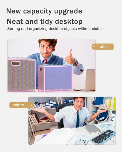 Oterri Hanging File Organizer, Metal File Organizer, Portable Desktop File Organizer for Letter Size Folder, Mesh Hanging File Crate for Office,Folders Not Included(Fairy Pink,2 Pack)