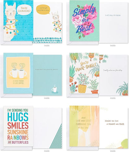 American Greetings Deluxe All Occasion Cards with Envelopes - Birthday, Thanks, Congrats and More (40-Count)
