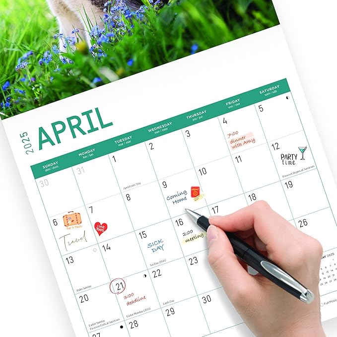 2025 Siberian Huskies Monthly Wall Calendar by Bright Day, Includes Over 300 Stickers, 12 x 12 Inch