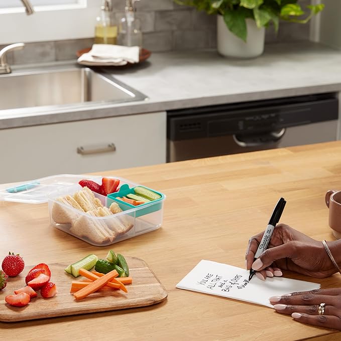 SHARPIE Permanent Markers | Fine Point for Bold Details | Black Ink | 12 Count Marker Pens