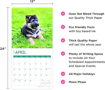 2025 German Shepherds Monthly Wall Calendar by Bright Day, Includes Over 300 Stickers, 12 x 12 Inch