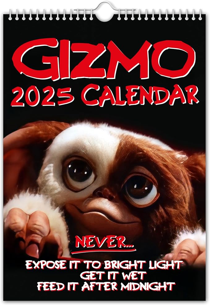 // Gizmo - 2025 Wall Calendar (Full Colour, A4 Size)