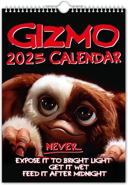 // Gizmo - 2025 Wall Calendar (Full Colour, A4 Size)