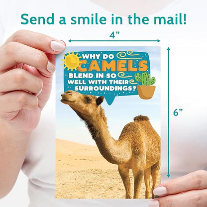 T MARIE 40 Funny Animal Joke Postcards with No Repeats - 4x6” Humorous Bulk Thinking of You Postcards for Kids, Grandkids, Students, and Teachers, Summer Camp, Lunchboxes and More