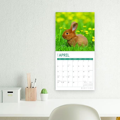 2025 Baby Animals Monthly Wall Calendar by Bright Day, Includes Over 300 Stickers, 12 x 12 Inch
