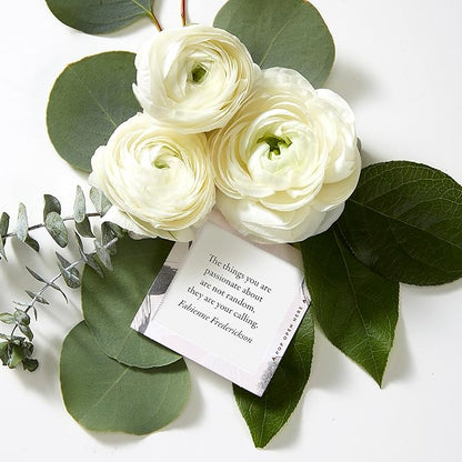 Compendium ThoughtFulls Pop-Open Cards — Inspired Life — 30 Pop-Open Cards, Each with a Different Inspiring Message Inside