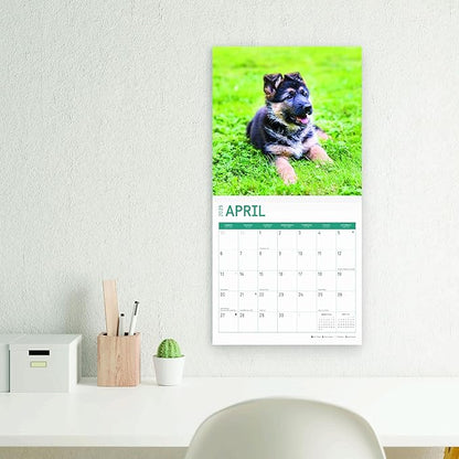 2025 German Shepherds Monthly Wall Calendar by Bright Day, Includes Over 300 Stickers, 12 x 12 Inch